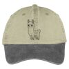 Two Tone Pigment Dyed Cap Thumbnail